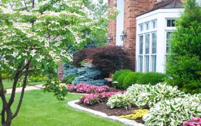 7 Common Residential Landscaping Mistakes To Avoid